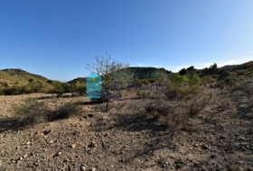 Foto 16