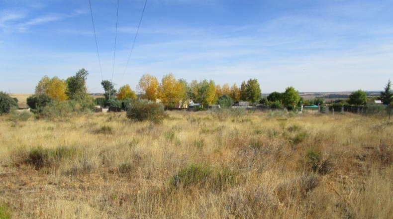 Salamanca - Almenara de Tormes - 6827m2