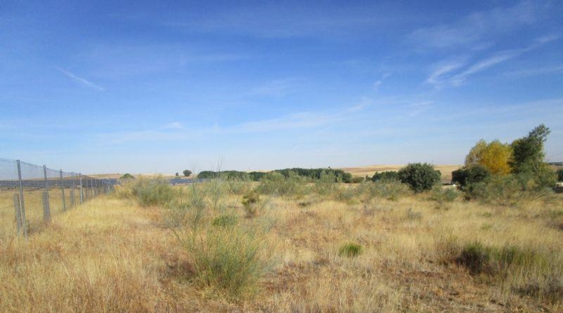 Salamanca - Almenara de Tormes - 6827m2