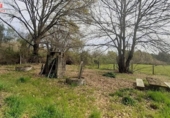 Chalet independiente con terreno en venta en la España, A Peroxa, ref: TR297005 foto