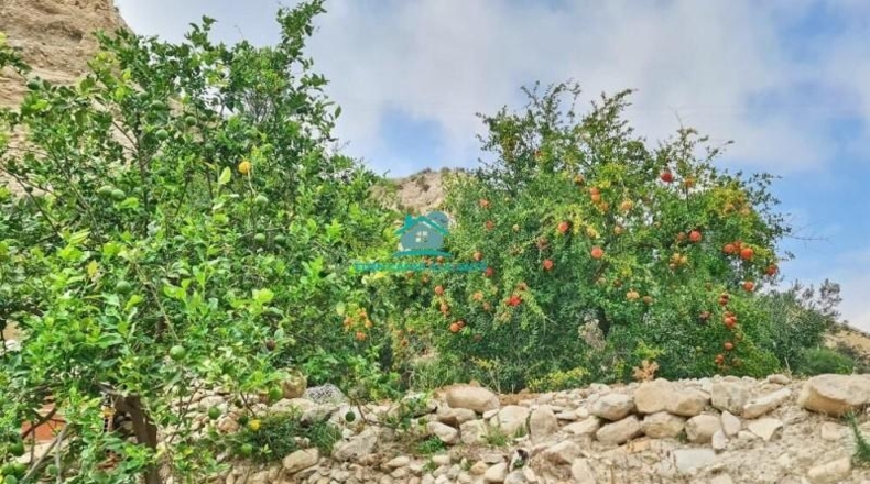 Alicante - Jijona - 5417m2