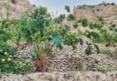 Non-developable land for sale on España, Xixona, ref: TR126772 photo