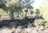 Suelo urbano en venta en la España, la Bisbal del Penedès, ref: TR127771 foto