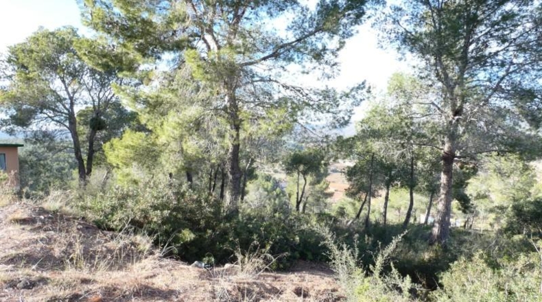 Tarragona - la Bisbal del Penedès - 623m2
