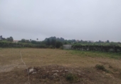 Sòl urbà en venda a la España, Eiravedra, ref.: TR166478 foto