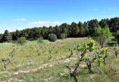 Xalet independent amb terreny en venda a la España, Vall-de-roures, ref.: TR293589 foto