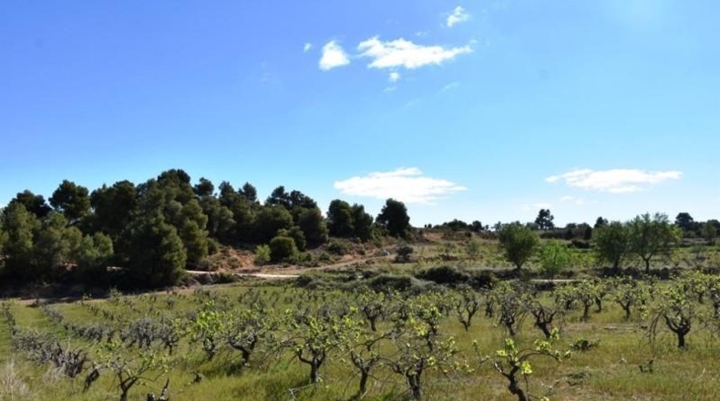 Теруэль - Vall-de-roures - 23795m2