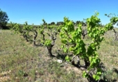 Xalet independent amb terreny en venda a la España, Vall-de-roures, ref.: TR293589 foto