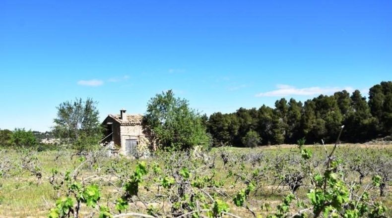 Теруэль - Vall-de-roures - 23795m2