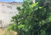 Terreno no urbanizable en venta en la España, La Puebla de Almoradiel, ref: TR294611 foto