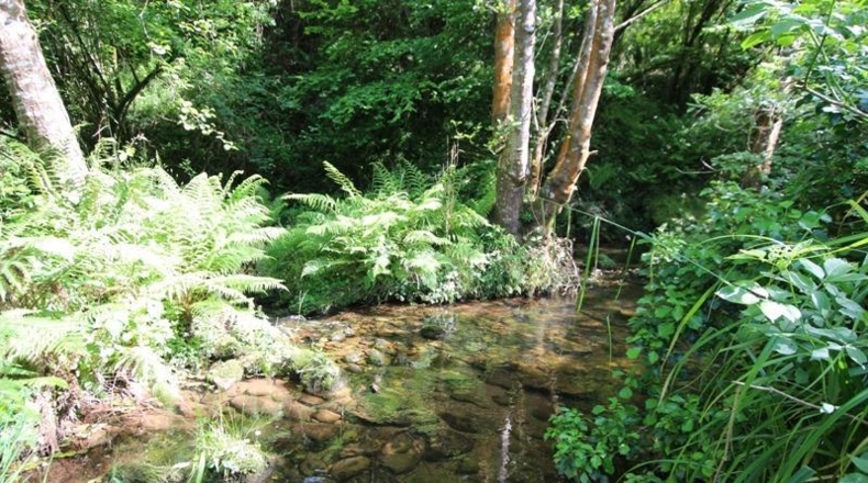 Cantabria - Bustriguado - 93m2