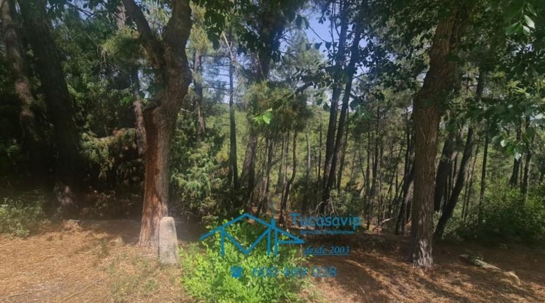 Ávila - El Tiemblo - 1169m2