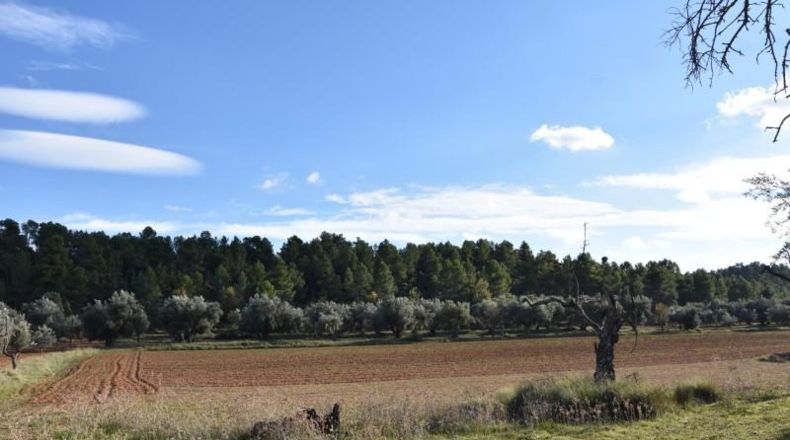 La Coruña - Ares - 40992m2