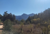Chalet independiente con terreno en venta en la España, Beceite, ref: TR403790 foto
