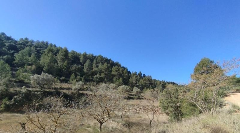 Teruel - Beceite - 84967m2