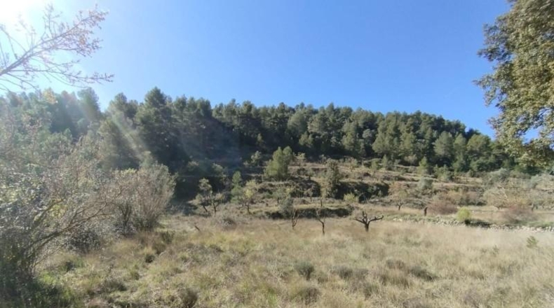 Teruel - Beceite - 84967m2