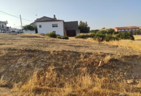 El Garrobo 300&nbsp;m²