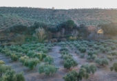 Terreno no urbanizable en venta en la España, Calicasas, ref: TR248191 foto