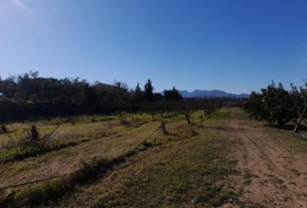 Ginestar 12365&nbsp;m²