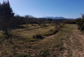 Ginestar 12365&nbsp;m²