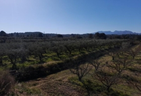 Ginestar 12365&nbsp;m²