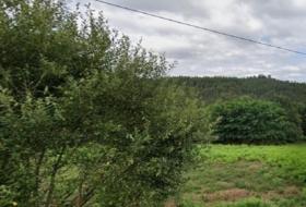 Eiravedra 1375&nbsp;m²