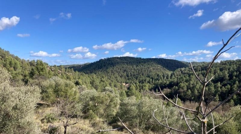 Teruel - Calaceite - 63617m2