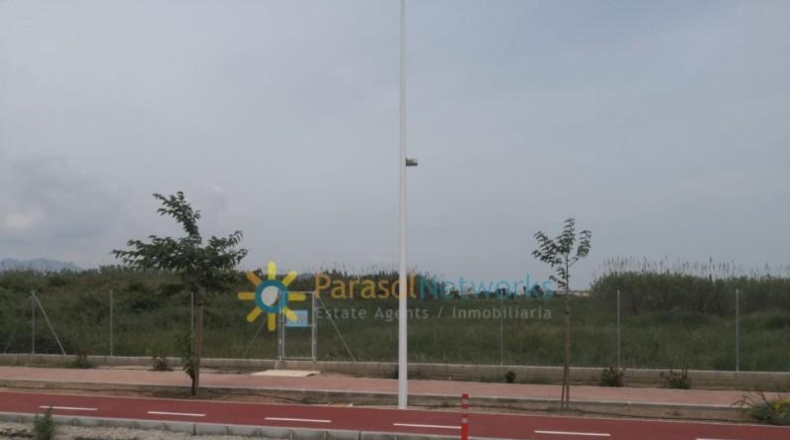 Valencia - Guardamar de la Safor - 2567m2