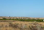 Terreno no urbanizable en venta en la España, Elche, ref: TR116653 foto