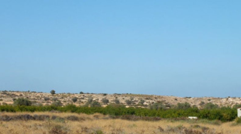 Alicante - Elche - 4000m2