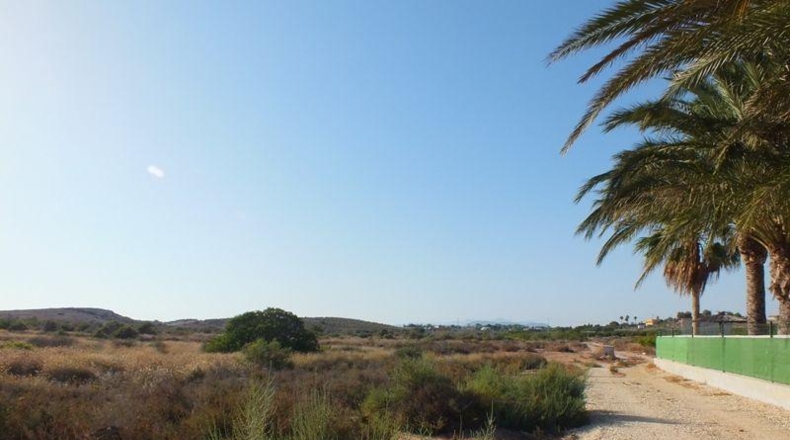 Alicante - Elche - 4000m2