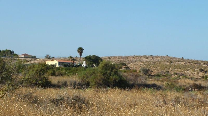 Alicante - Elche - 4000m2