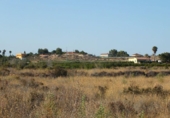 Terreno no urbanizable en venta en la España, Elche, ref: TR116653 foto