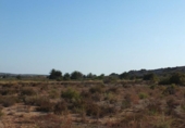 Terreno no urbanizable en venta en la España, Elche, ref: TR116653 foto
