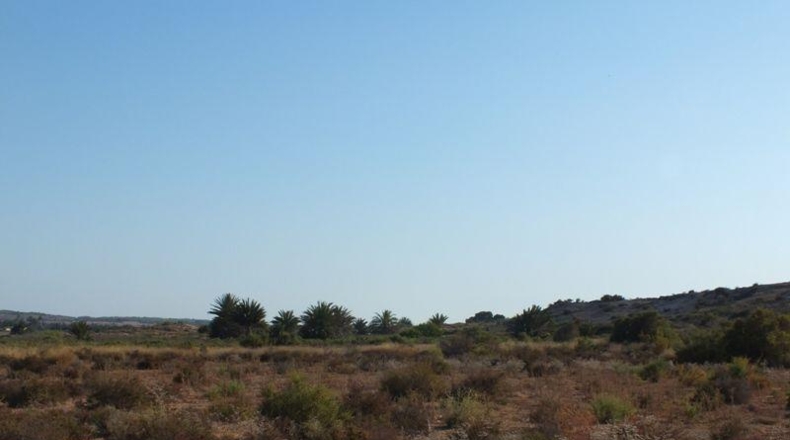 Alicante - Elche - 4000m2