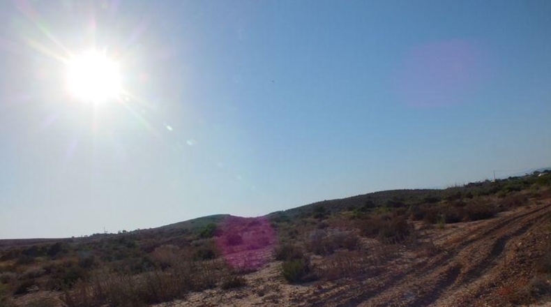 Alicante - Elche - 4000m2