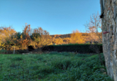 Casa de camp amb terreny en venda a la España, Bembibre, ref.: TR299806 foto