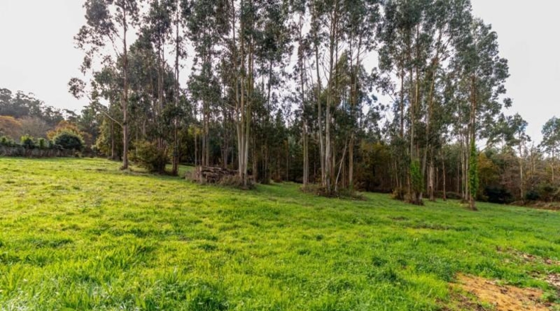 La Corunya - Coristanco - 4182m2