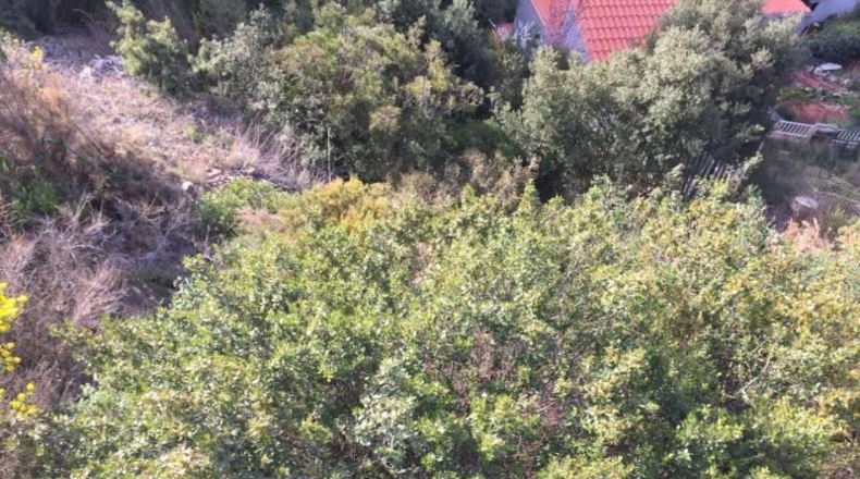 Barcelona - Castellar del Vallès - 690m2