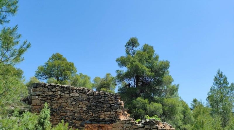 Teruel - La Portellada - 29511m2