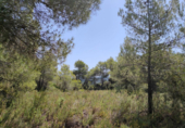 Xalet independent amb terreny en venda a la España, la Portellada, ref.: TR303865 foto