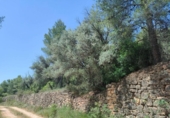 Xalet independent amb terreny en venda a la España, la Portellada, ref.: TR303865 foto
