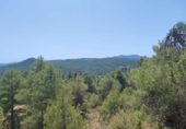 Xalet independent amb terreny en venda a la España, la Portellada, ref.: TR303865 foto