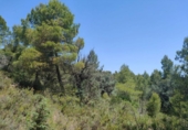 Xalet independent amb terreny en venda a la España, la Portellada, ref.: TR303865 foto