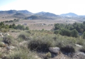 Terreno no urbanizable en venta en la España, Hondón de las Nieves, ref: TR119671 foto