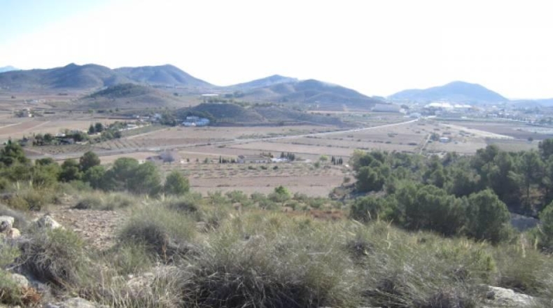Alicante - Hondón de las Nieves - 13500m2