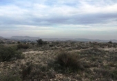 Terreno no urbanizable en venta en la España, Novelda, ref: TR119679 foto