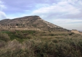 Terreno no urbanizable en venta en la España, Novelda, ref: TR119679 foto