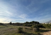 Parcela urbanizable en venta en la España, El Ejido, ref: TR119908 foto