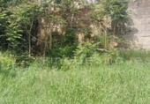 Parcel·la urbanitzable en venda a la España, Vacarisses, ref.: TR249873 foto